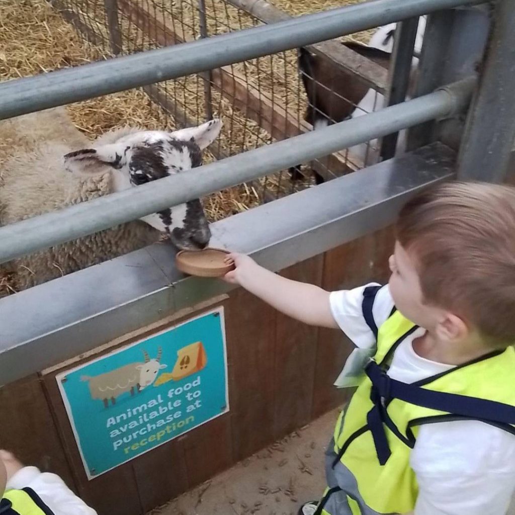 Trips and Experiences Shine A Light Day Nursery Oldham 520820534_1301337601995730_3574686347808329423_n