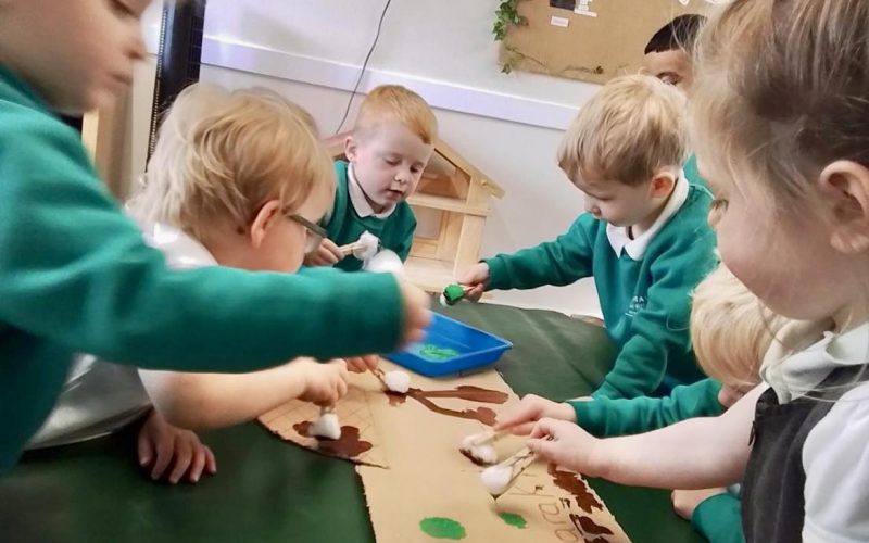 505232694_1262159862580171_2953866741952497238_n