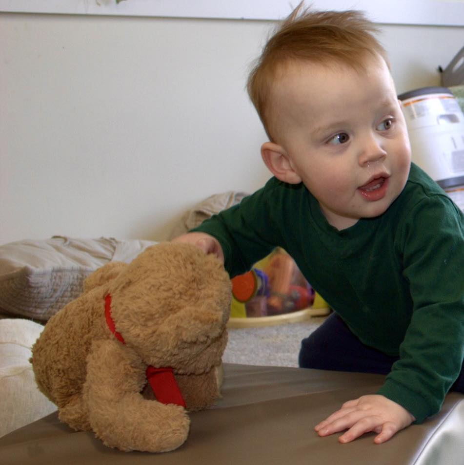 Under 3's Nursery Oldham - Caterpillars, Ladybirds & Butterflies Shine A Light Day Nursery Oldham teddy